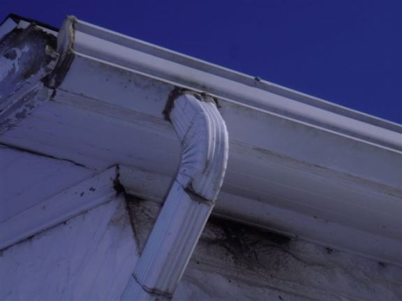 You can see the area under eave where bats are getting into attic. Notice the dark stains on concrete blocks.