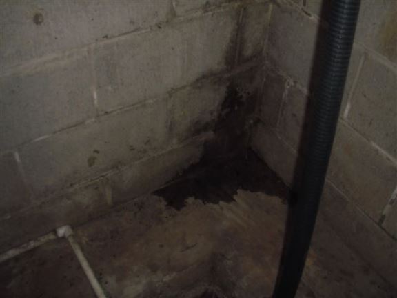 Block foundation with water present and stains on the wall and floor. This indicates a chronic seepage problem.