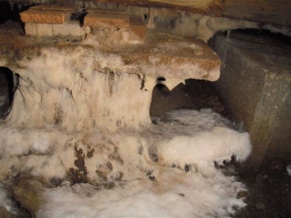 This crawl space in Shrewsbury had fungus growing everywhere.