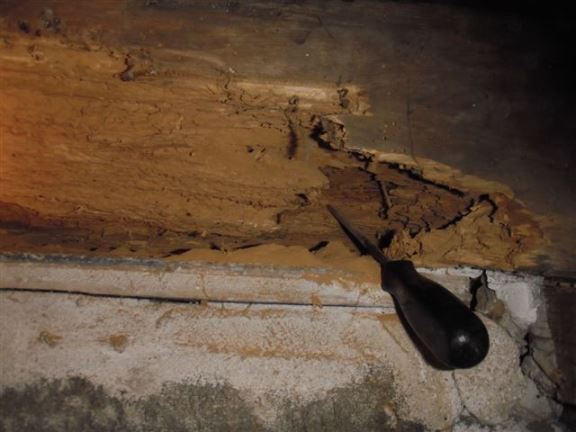 This shows a rotted sill plate with evidence of powder post beetle damage.