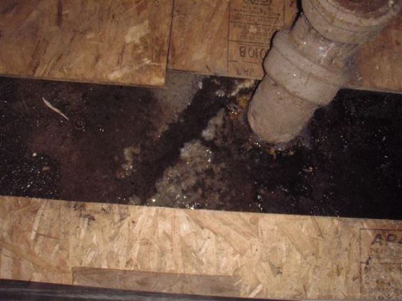 Here we see sewage leaking under a basement floor.