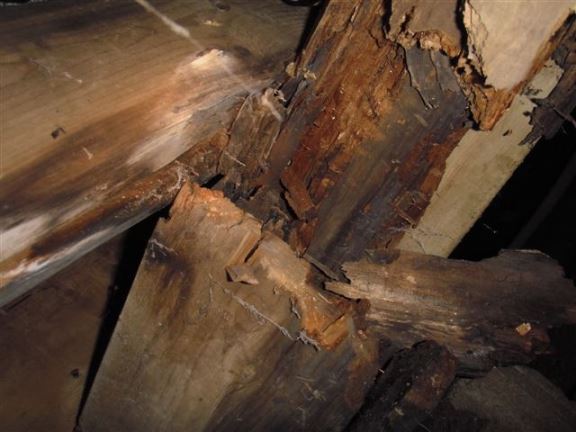 This is typical rot to floor joists and a beam in a house with a crawl space. This will be very costly to repair.